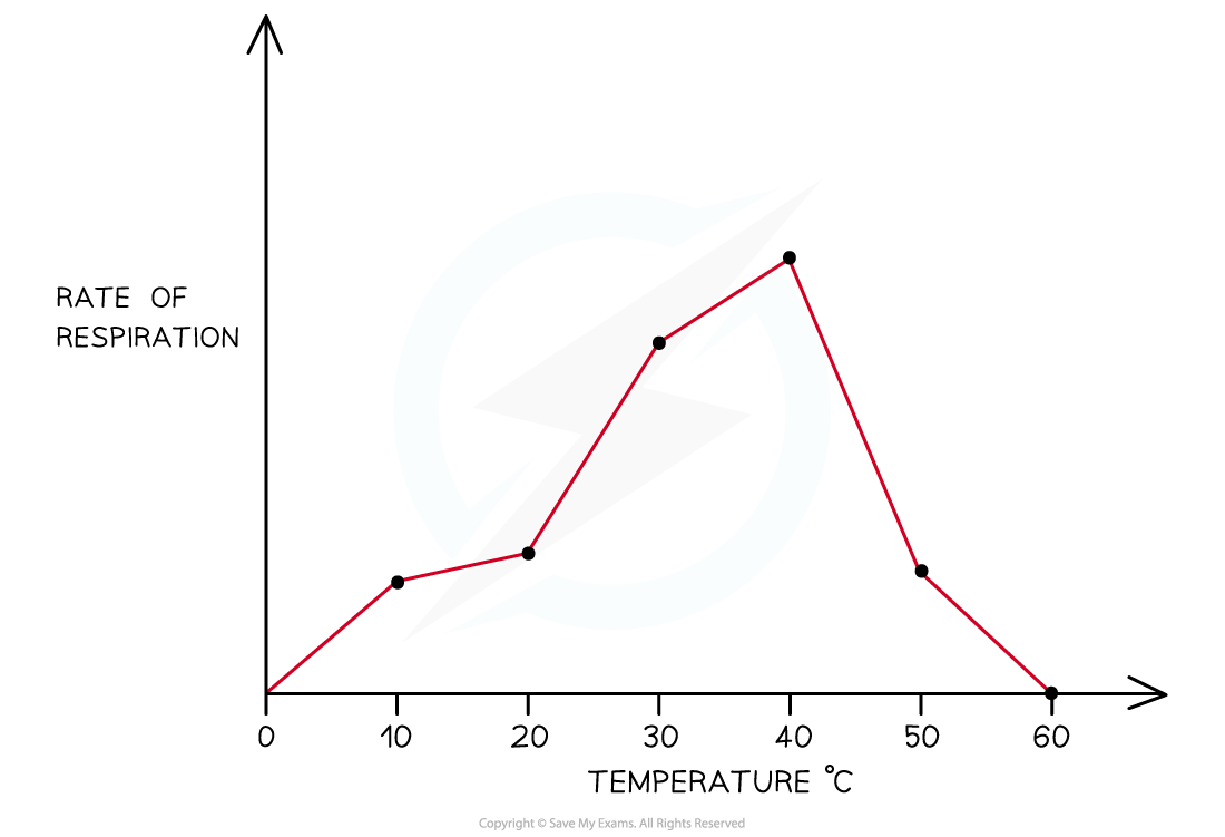 Graph showing rate of respiration against temperature in degrees Celsius. The curve rises sharply, peaks at 40°C, then declines rapidly.