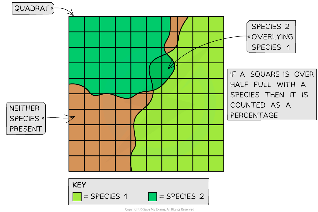 Grid diagram showing species distribution in quadrats: brown for neither, green for species 1, dark green for species 2 overlaying species 1.