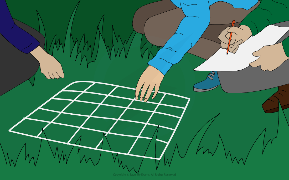 Two people examining a white grid on grass; one person writes on paper while the other adjusts the grid.