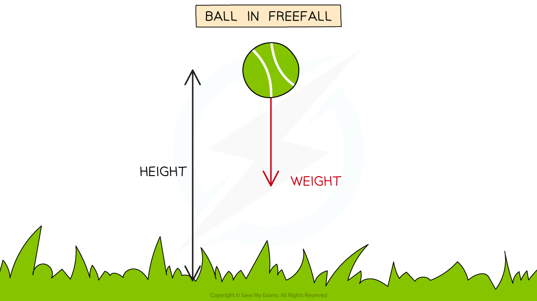 Green ball in freefall; arrows show upward height and downward weight. Background of grass and text at top reading "Ball in freefall".