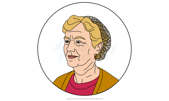 Illustration of Sylvia from My Name is Leon: she is an elderly woman with short hair, wearing a netted hat, an orange cardigan, and a red top, framed in a circular border.