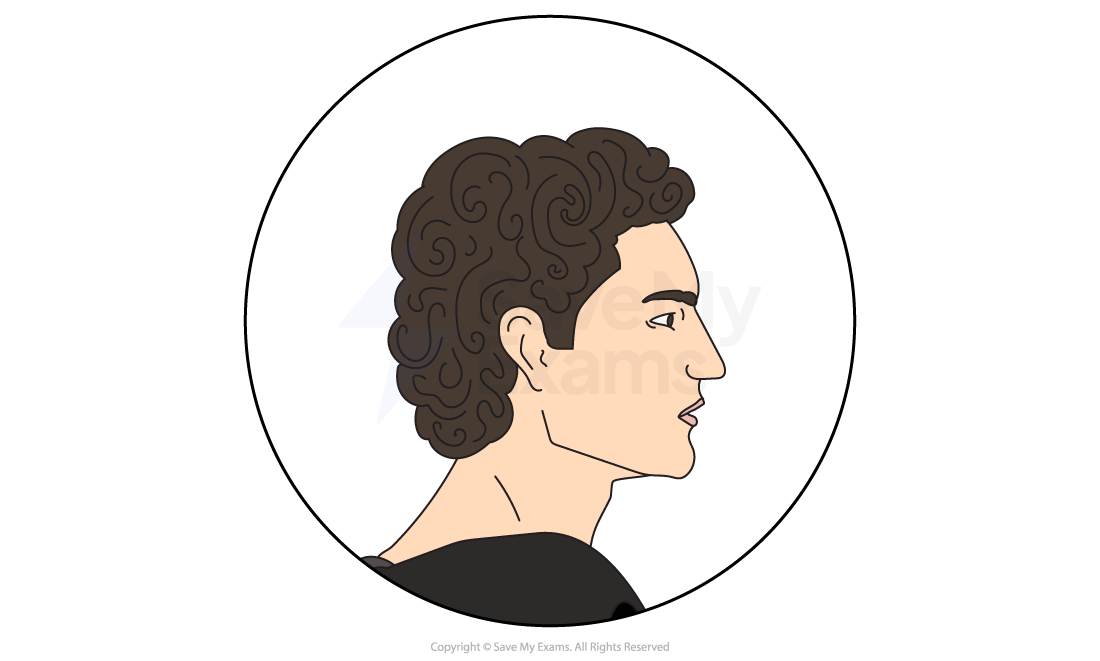 Illustration of a person with curly brown hair in profile view, facing right, within a circle on a white background.