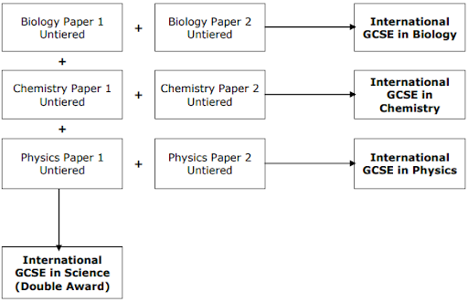 Flowchart depicting how Biology, Chemistry, and Physics GCSE papers lead to International GCSEs, with a double award option in Science.