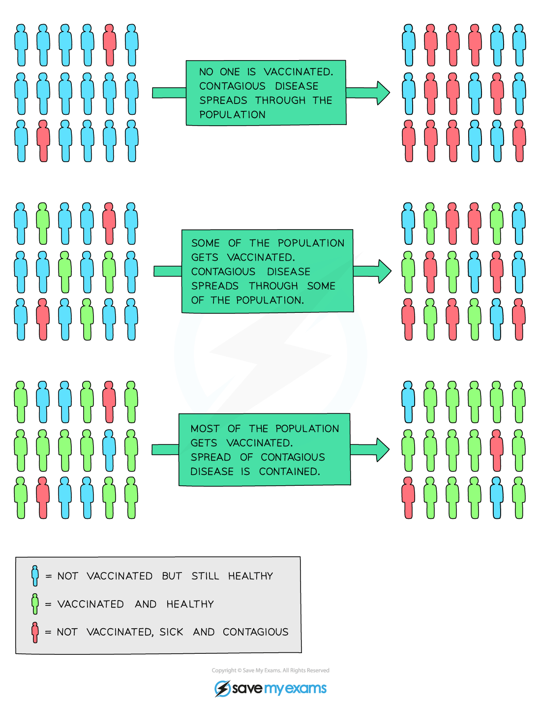 Three scenarios show vaccination impact: no vaccination with widespread disease, partial vaccination with limited spread, and most vaccinated with contained spread.