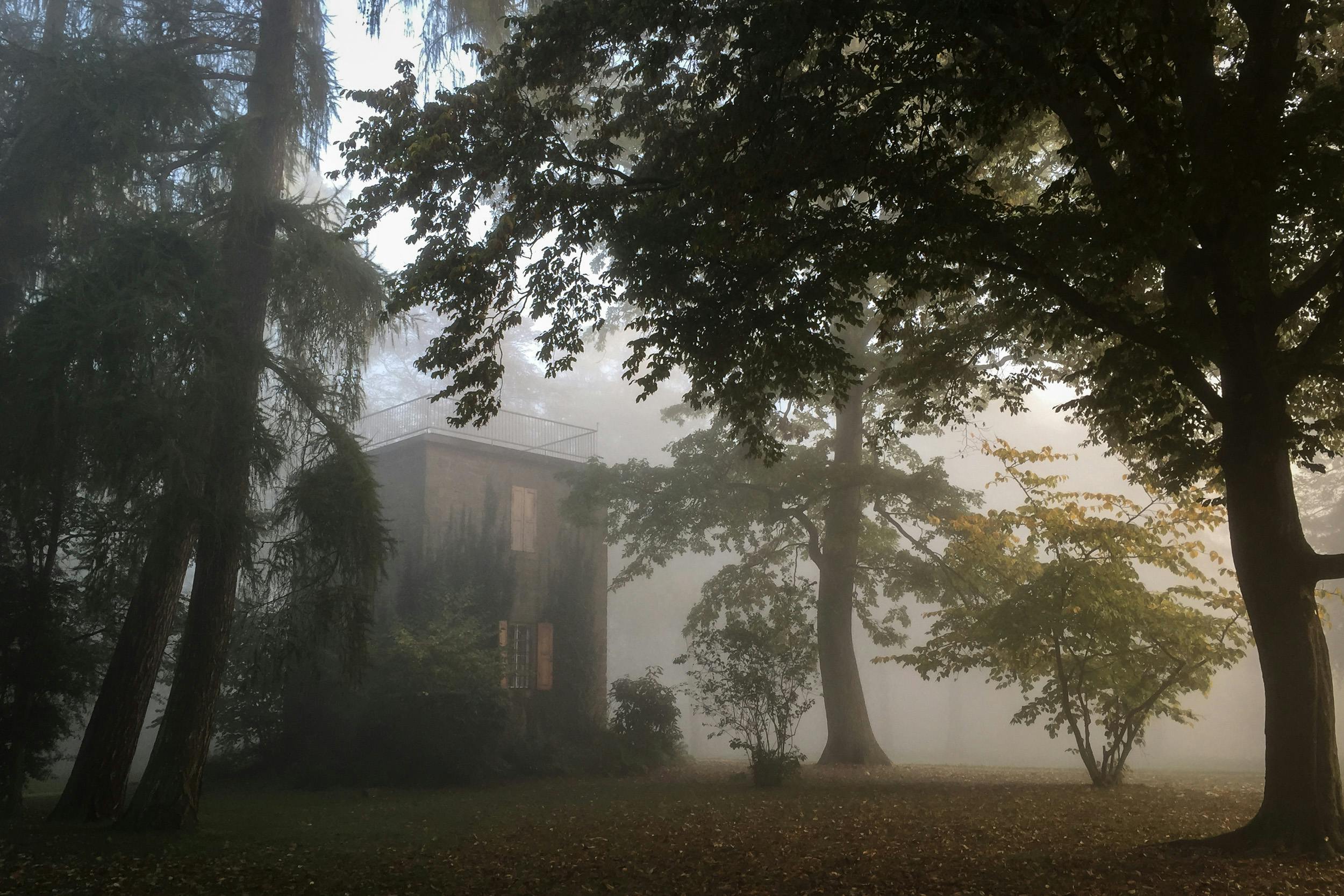 A small brick building surrounded by tall trees and fog, creating a misty and mysterious atmosphere in a wooded area.