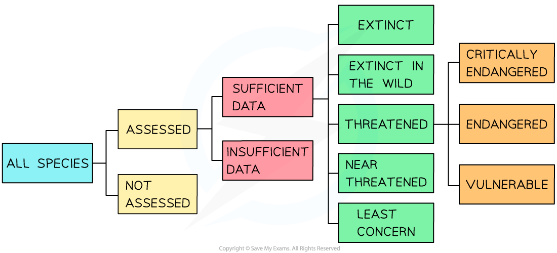 Flowchart of IUCN species assessment: All species split into 'Assessed' and 'Not Assessed'. Assessed divides into 'Sufficient' or 'Insufficient Data', leading to threat levels.
