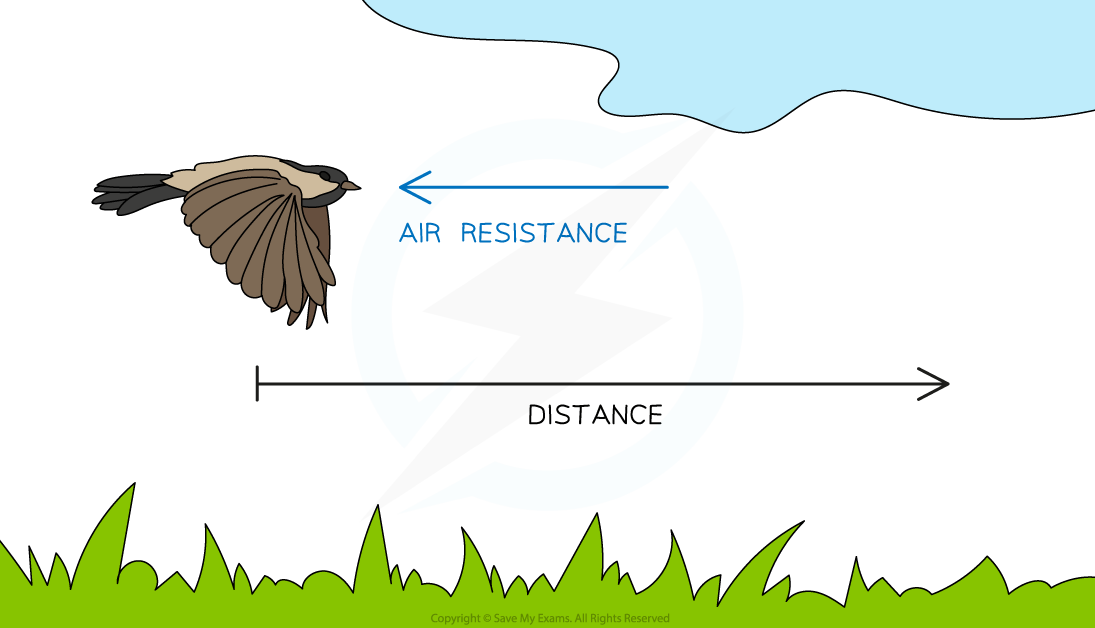 Bird flying against air resistance indicated by an arrow. Another arrow points in the opposite direction indicating distance. Grass below and a cloud above.