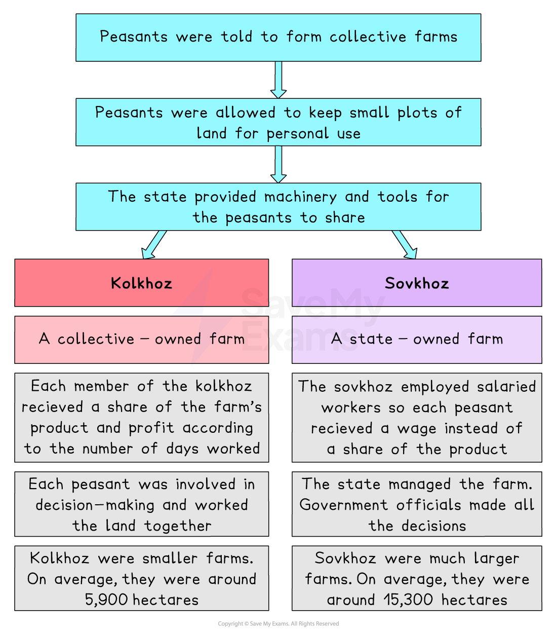 A flowchart explaining the structure and types of collective farms under Stalin’s collectivisation policy.

Top level (blue boxes):

Peasants were told to form collective farms.

They were allowed to keep small personal plots.

The state provided shared machinery and tools.

Two branches follow:

Left Branch – Kolkhoz (pink/red):

A collective-owned farm.

Members received a share of the farm’s output and profit, based on days worked.

Peasants jointly made decisions and worked together.

Kolkhozes were smaller, averaging 5,900 hectares.

Right Branch – Sovkhoz (purple):

A state-owned farm.

Peasants were salaried workers paid a wage instead of receiving a share.

All decisions were made by government officials.

Sovkhozes were larger, averaging 15,300 hectares.