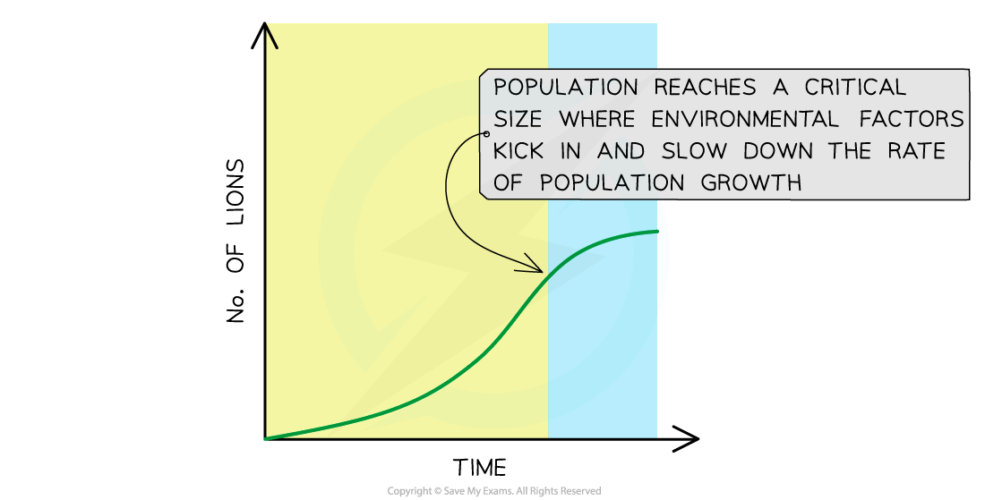 Graph showing lion population growth over time, with a curve indicating slowing growth due to environmental factors once a critical size is reached.