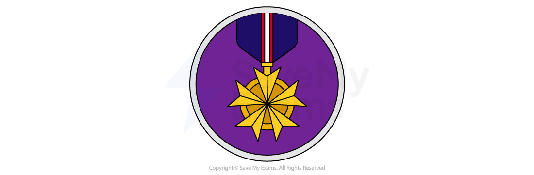 Gold star-shaped medal with a ribbon on a purple circular background, enclosed in a white border.