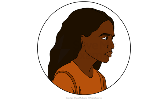 Illustration of Viv from Leave Taking: she has long hair in profile, wearing an orange shirt, enclosed in a circular frame with a plain white background.