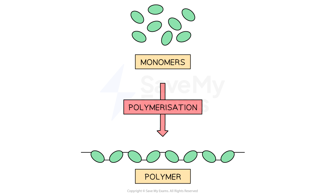 Diagram showing polymerisation: monomers link together into a linear polymer chain via a process called "Polymerisation."