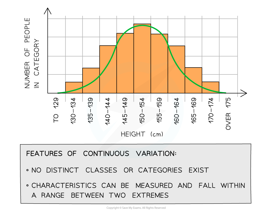 Histogram of people’s heights showing a normal distribution with a curve overlay, alongside features of continuous variation explanation.