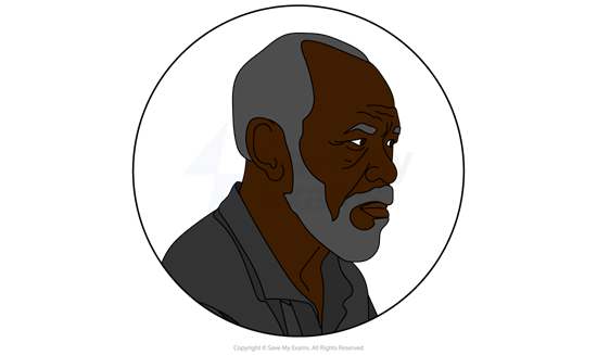 Illustration of Gullyman from Leave Taking: he is an elderly man with grey beard and dark shirt, facing right, in a circular frame.