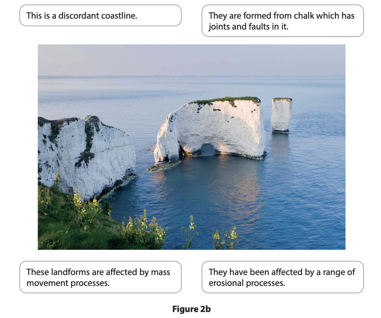 Coastal cliffs with chalk formations, marked by erosion and mass movement; green vegetation atop cliffs and calm blue sea below.
