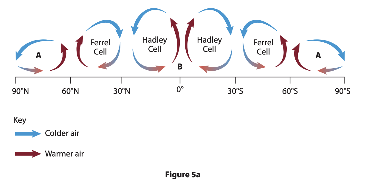 Diagram showing atmospheric circulation with Ferrel and Hadley cells, illustrating movement of colder and warmer air between 90°N and 90°S.