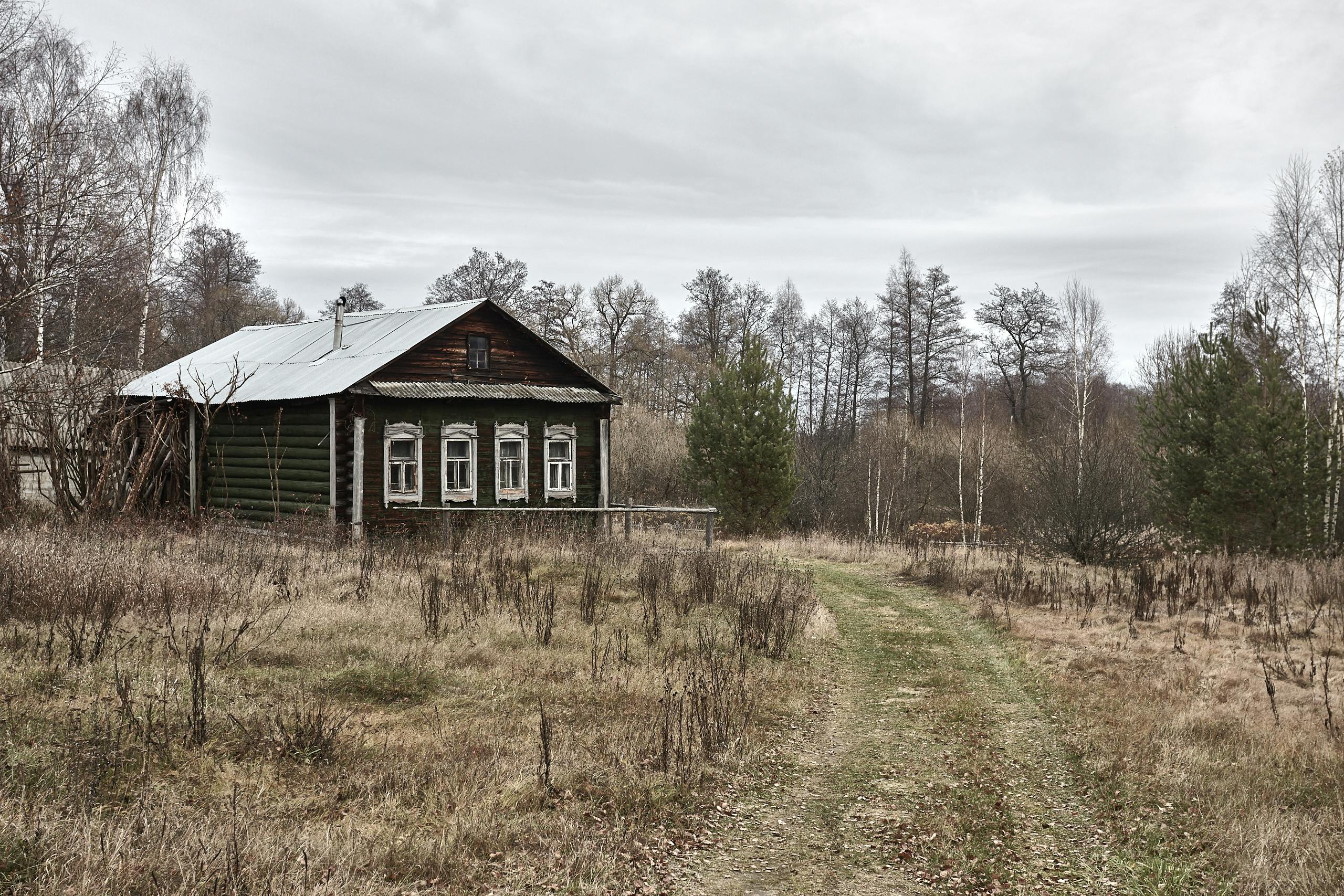 Wooden cottage with a metal roof in an overgrown field, surrounded by bare trees and bushes on a cloudy day. A dirt path leads to the house.