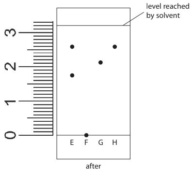 Diagram of chromatography results showing solvent level at 3 cm and sample spots E to H along baseline, with distances marked by a ruler.