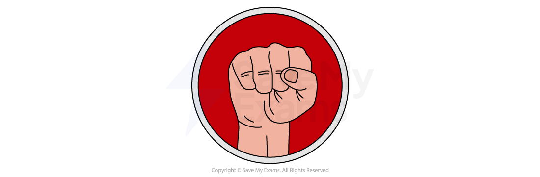 Icon of a raised fist inside a red circle, symbolising strength and unity, with simple lines and a bold outline for emphasis.