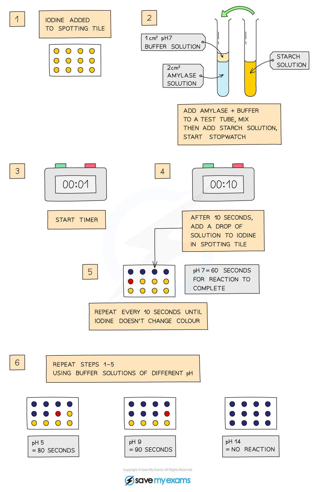 Flowchart of an experiment: Add iodine to spotting tile, mix amylase solution with starch and buffer, time reaction with stopwatch, observe colour change.