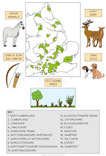 Map of medieval England showing areas for grazing animals, hunting deer, using bows, and cutting trees. Includes key with counties numbered 1-19.