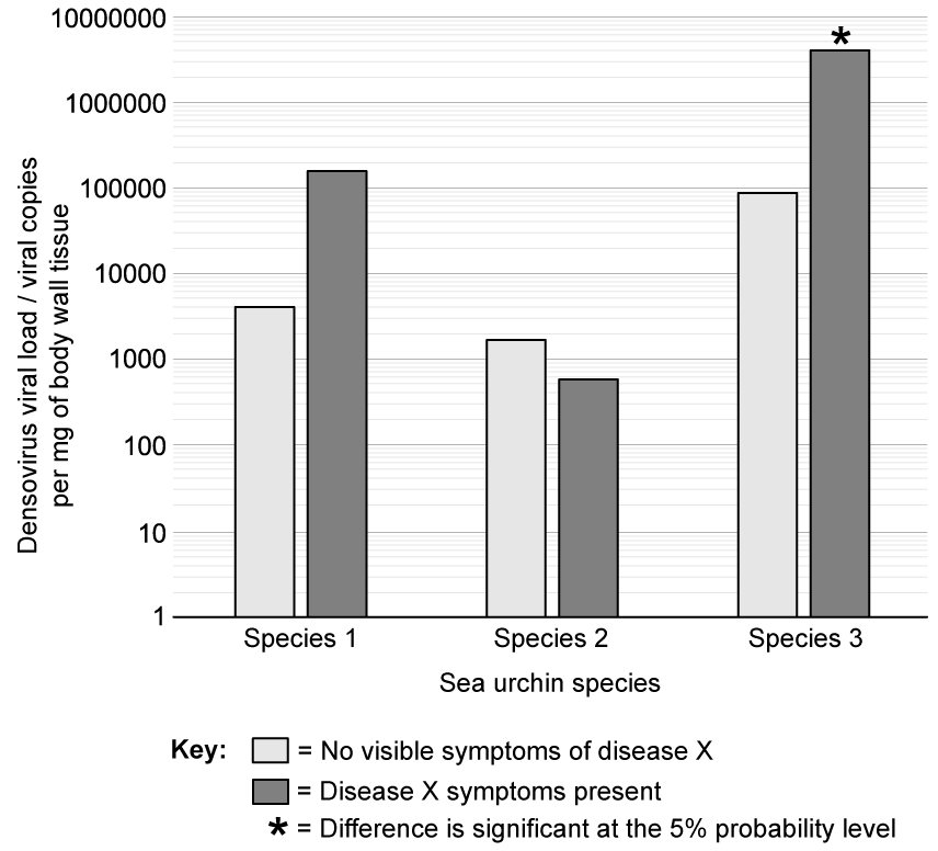 Bar chart showing densovirus viral load in three sea urchin species. Species 3 with symptoms has significantly higher load. Key indicates symptom presence.