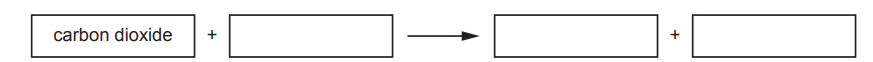 Chemical equation diagram with carbon dioxide plus blank, arrow pointing to blank plus blank.