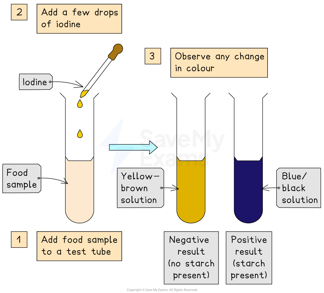 Diagram illustrating iodine test for starch: Add food sample to test tube, add iodine drops, observe colour change to yellow-brown (negative) or blue-black (positive).