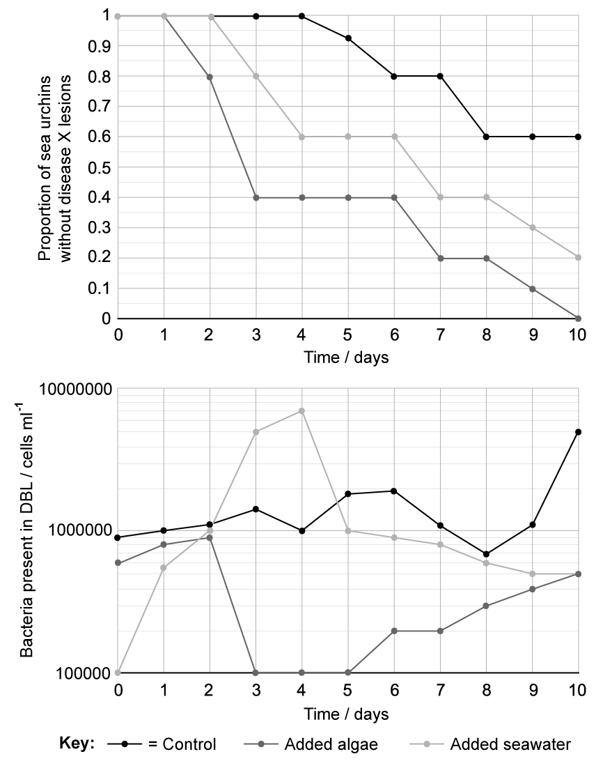 Two line graphs showing change in the number of sea urchins without disease over time, and changes in the number of bacteria over 10 days with control, algae, and seawater treatments.