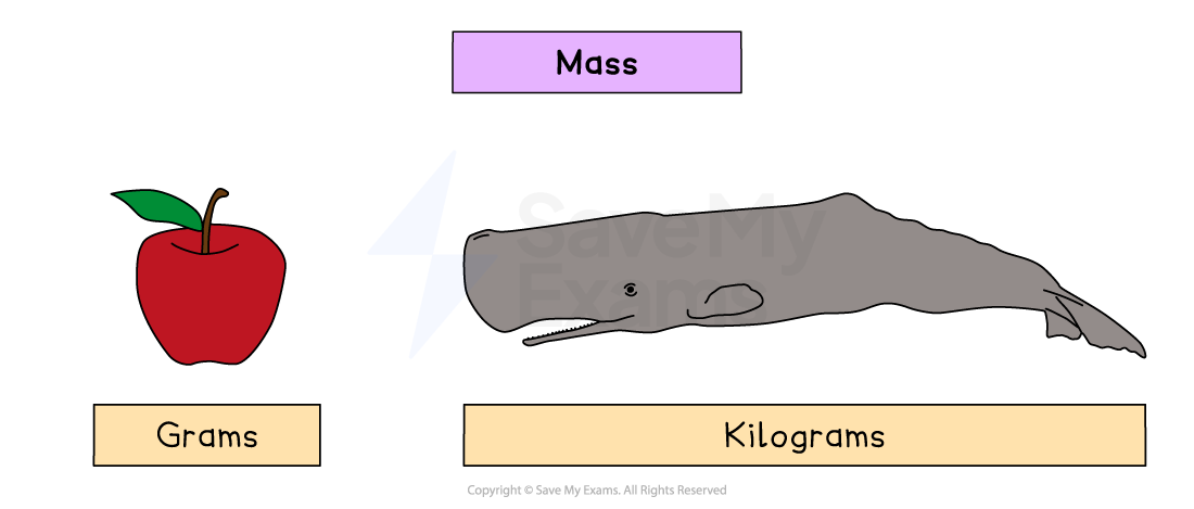Illustration of mass comparison: an apple labelled "Grams" and a whale labelled "Kilograms", with "Mass" as the title above.