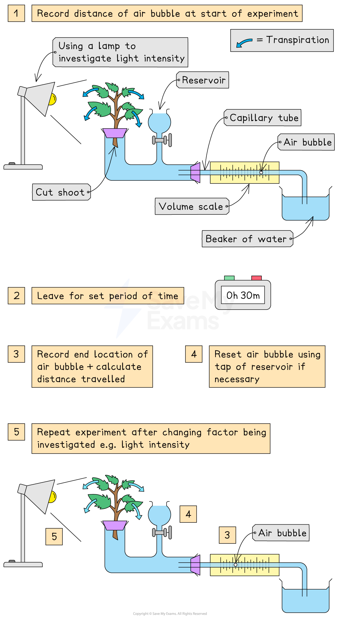 Diagram showing a transpiration experiment with a plant shoot, lamp, reservoir, capillary tube, air bubble, volume scale, and beaker of water.