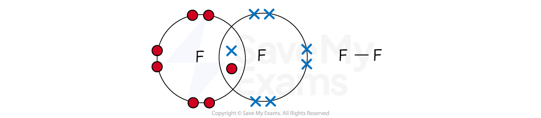Two overlapping circles representing fluorine atoms with shared electrons forming a covalent bond. Each circle has three lone electron pairs.