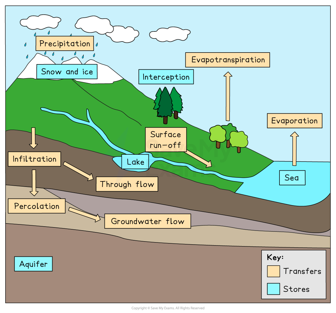Diagram of the drainage basin, showing precipitation, evaporation, condensation, with flows and stores like lake, aquifer, sea, and evapotranspiration.