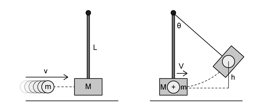 Diagram showing two stages of a ballistic pendulum collision; left: a mass m moving towards block M at speed v, right: combined mass M+m moving at speed V, swinging to height h.
