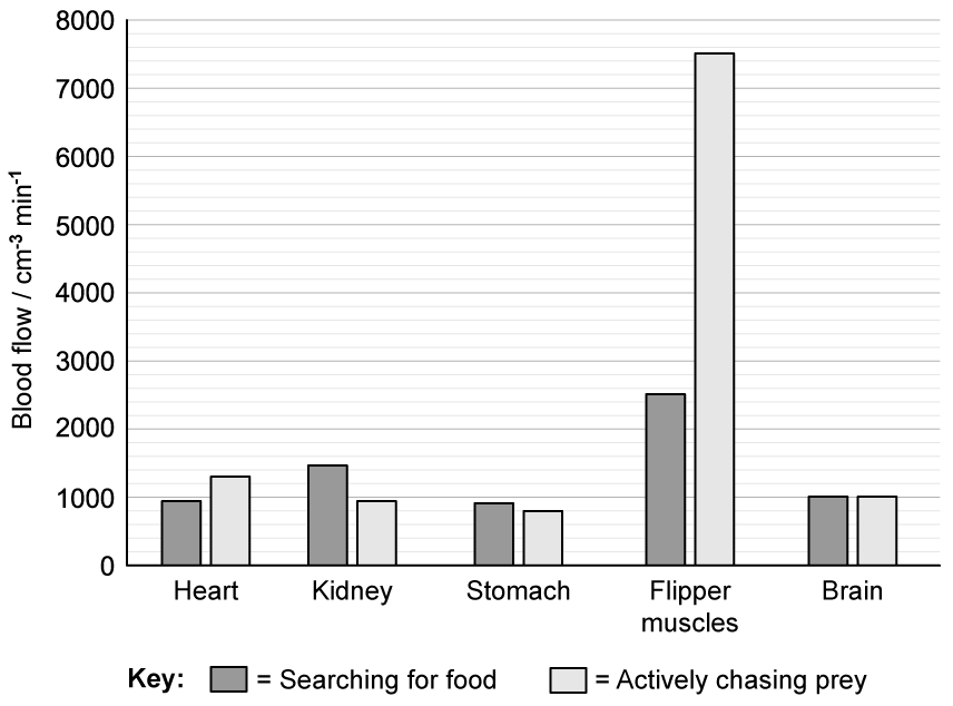Bar chart showing blood flow in cm³/min across heart, kidney, stomach, flipper muscles, and brain. Light grey bars indicate searching; dark grey, chasing prey.