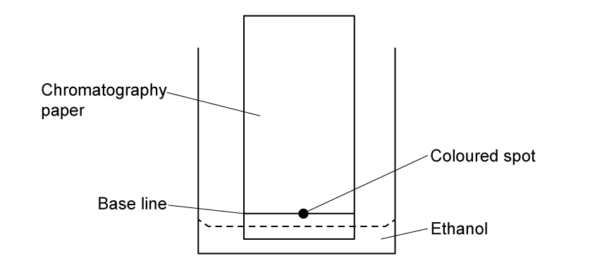 Diagram of a chromatography setup with paper marked by base line and coloured spot. Ethanol level is below the spot in a container.