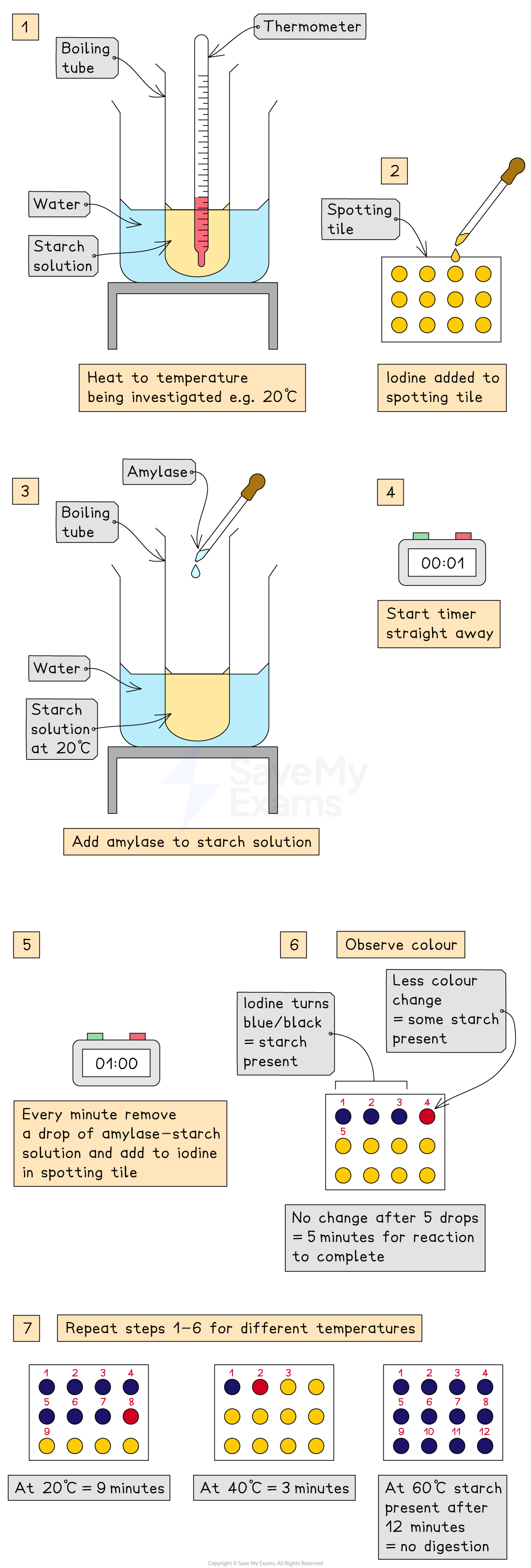 Diagram showing an experiment on amylase and starch reaction times at different temperatures, using a thermometer, spotting tile, and iodine.