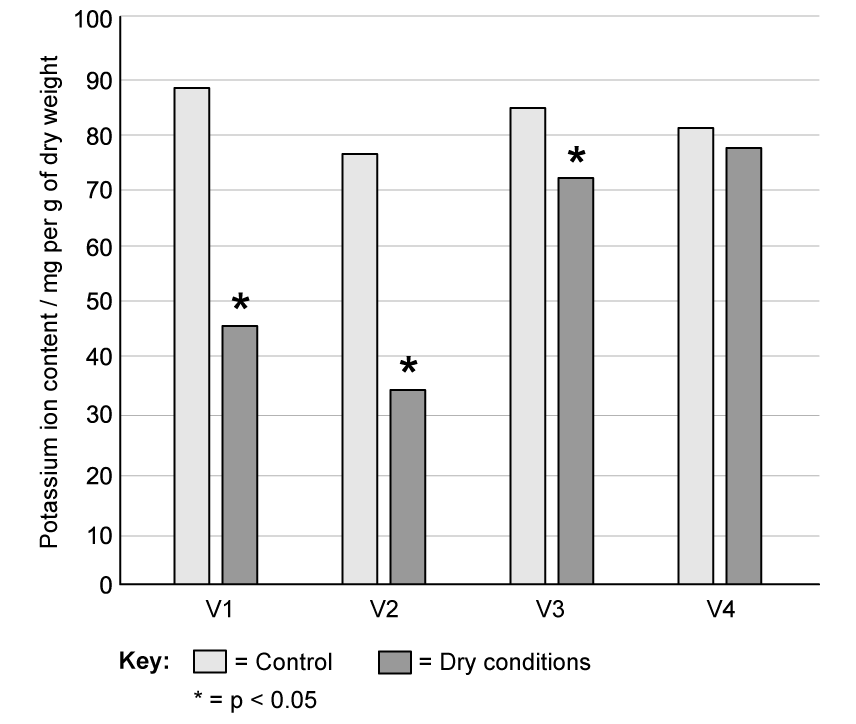 Bar chart comparing potassium ion content under control and dry conditions for V1-V4. Asterisks mark significant differences for v1-v3, p < 0.05.