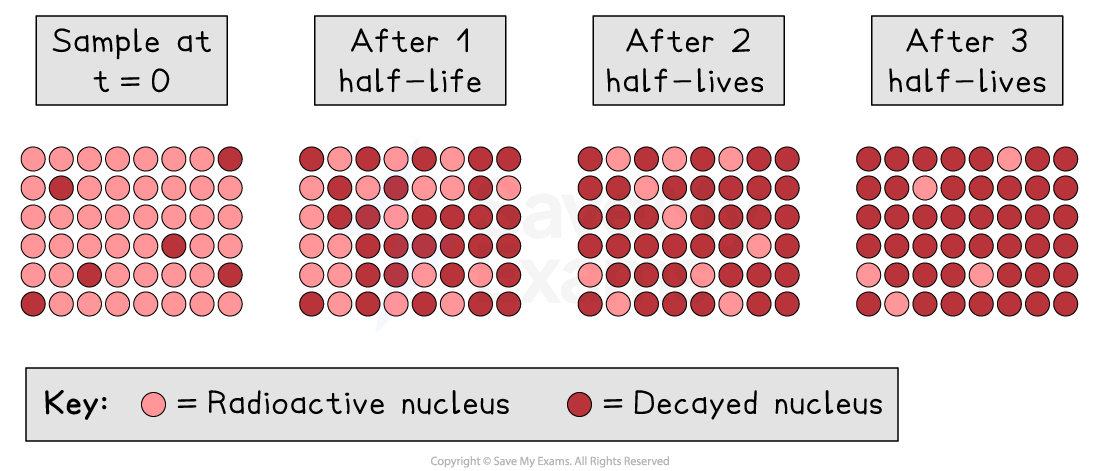 Diagram showing decay of a radioactive sample over time: initial state through three half-lives. Pink dots are radioactive, brown dots are decayed.