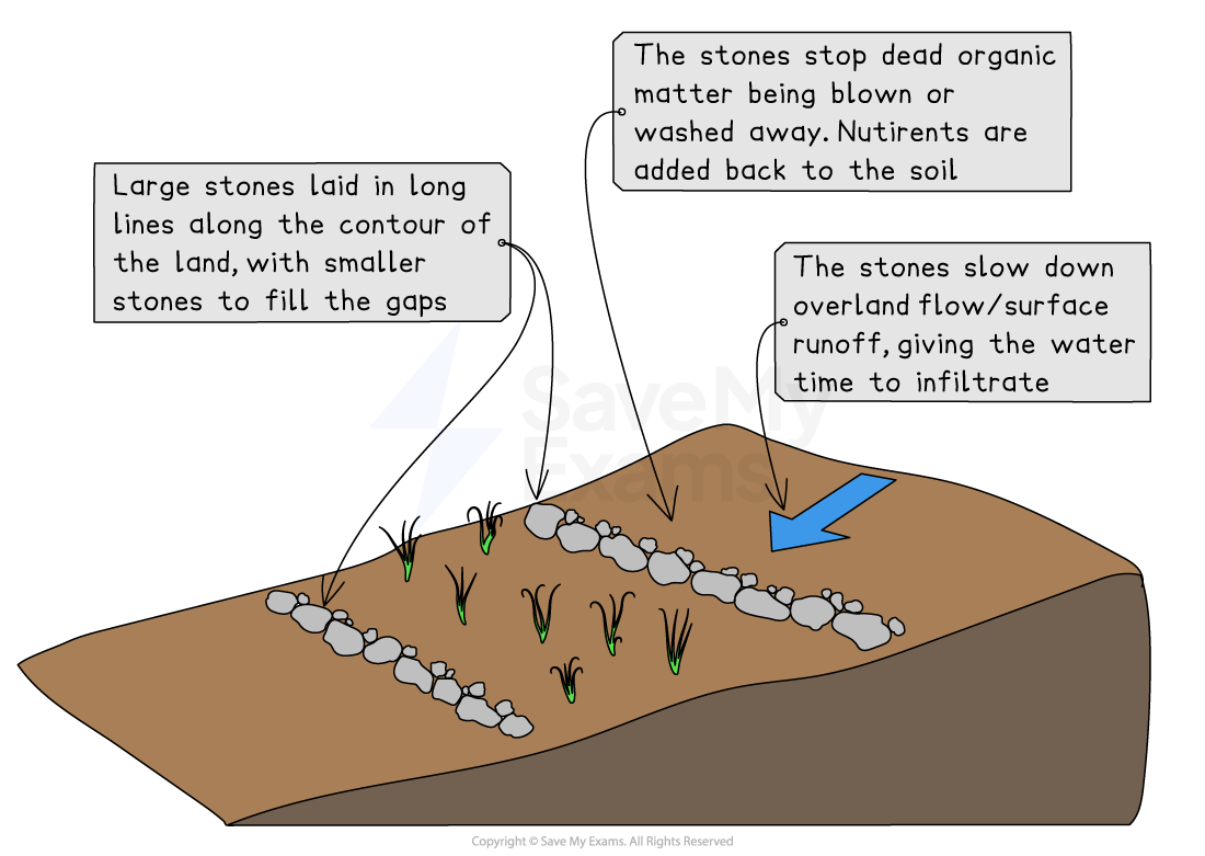 Diagram of hillside with stones laid in lines along contours. Arrows indicate slowing of runoff, protection from erosion, and nutrient retention.