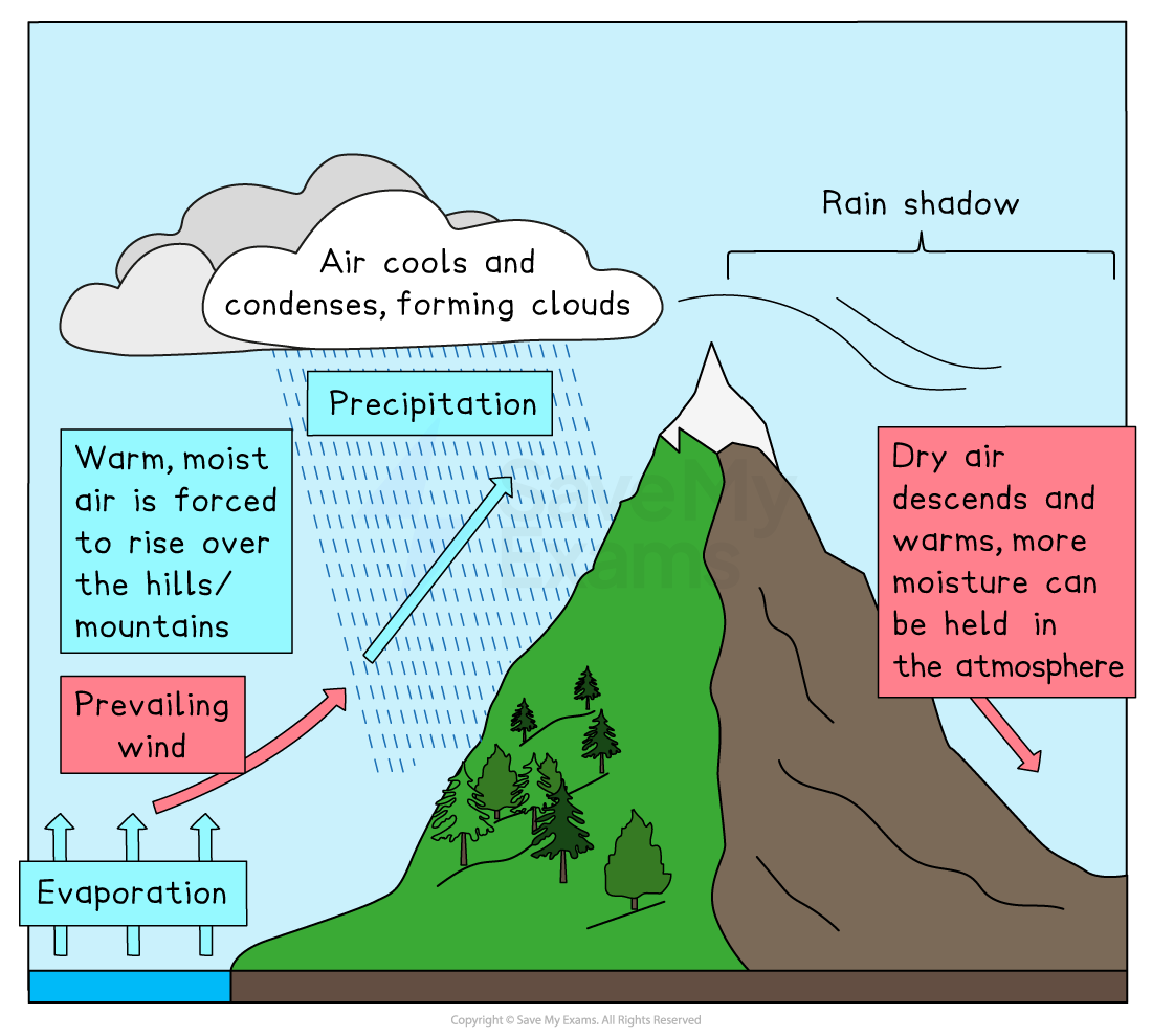 Diagram illustrating the rain shadow effect: warm air rises over a mountain, causing precipitation, while dry air descends on the leeward side.