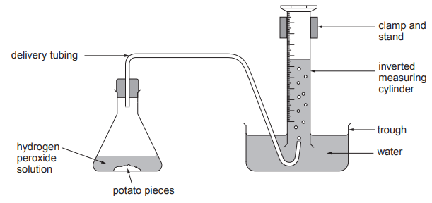 Diagram of a laboratory setup showing a flask with potato pieces and hydrogen peroxide, connected by tubing to an inverted measuring cylinder in a water trough.