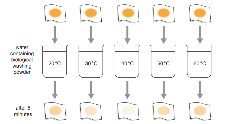 Diagram showing stained cloths immersed in water with biological washing powder at 20°C, 30°C, 40°C, 50°C, and 60°C. Stains fade with higher temperatures after 5 minutes.