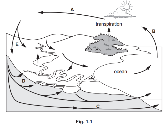 Diagram illustrating the water cycle, showing processes like evaporation, transpiration, condensation, precipitation, infiltration, and ground flow.