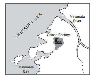 Map showing the Shiranui Sea area with Minamata River and Bay. The Chisso Factory is marked near the river's mouth by an industrial icon.
