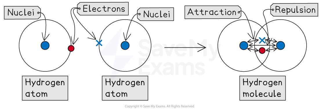 Diagram illustrating two hydrogen atoms combining to form a hydrogen molecule, highlighting electron attraction and repulsion forces.
