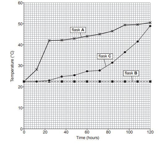 Graph showing temperature changes over 120 hours for flasks A, B, and C. Flask A rises to 50°C, flask B stays at 20°C, flask C rises to 35°C.