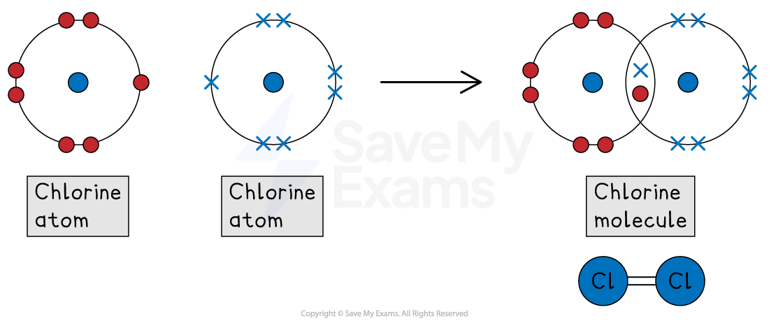 Two chlorine atoms share electrons to form a chlorine molecule, shown with Lewis structures and a diagram of two connected 