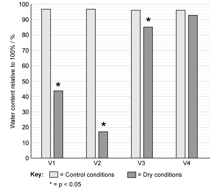 Bar chart showing water content percentage in control and dry conditions across four variables (V1-V4). Asterisks for V1, V2 and V3 indicate statistical significance.