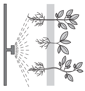 Diagram showing plants growing towards a light source from left, illustrating phototropism. Plants bend under various light intensities.